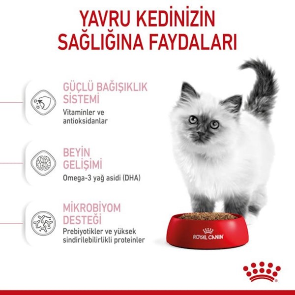 ROYAL CANİN CAT KİTTEN 10  KG